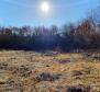 Eladó ingatlan Smoljanciban, Svetvinčenatban, 27.000 m2-en - pic 13