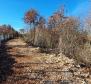 Eladó ingatlan Smoljanciban, Svetvinčenatban, 27.000 m2-en - pic 17