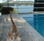 Einzigartige prächtige Villa mit Schwimmbad auf der ERSTEN LINIE des Meeres in der Nähe von Dubrovnik, JETZT ERMÄSSIGT! - foto 10