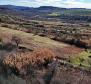 Baugrundstück mit Panoramablick in Buje, zu verkaufen - foto 5