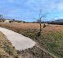 Baugrundstück mit Panoramablick in Buje, zu verkaufen - foto 8