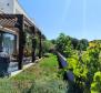 Maison jumelée à Peroj, Vodnjan, à 500 m de la mer, à vendre ! - pic 12