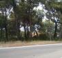 Urbanized land on Brac island, 70m from wateredge, for sale - pic 11