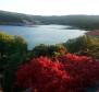 Seafront villa first line to the sea on Solta island! - pic 4