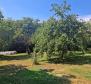 Przestronna posiadłość w Zminj na 13743 m² działki, na sprzedaż - pic 21