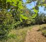 Przestronna posiadłość w Zminj na 13743 m² działki, na sprzedaż - pic 24