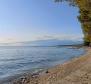 Propriété exceptionnelle à Fažana, super populaire, à 150 m de la plage, à vendre - pic 4