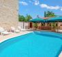 Deux maisons en pierre authentiques avec piscine à Kanfanar, région de Rovinj, à vendre - pic 2