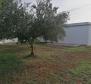 A unique rustic house with a view of the Brijuni Islands in Galizana, for sale! - pic 50