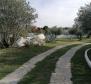 A unique rustic house with a view of the Brijuni Islands in Galizana, for sale! - pic 55