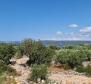 House on Drvenik island in a shell condition, 150m from the sea, for sale - pic 8