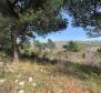 Grand terrain urbain avec vue panoramique sur la mer dans la région de Rabac, à vendre - pic 2