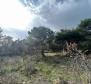 Grand terrain urbain avec vue panoramique sur la mer dans la région de Rabac, à vendre - pic 15