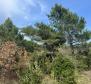 Grand terrain urbain avec vue panoramique sur la mer dans la région de Rabac, à vendre - pic 21