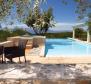 Faszinierende Villa in Sutivan auf der Insel Brac mit einem Grundstück von 11450 m2, mehr als 1 ha! - foto 3