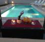 Rare modern villa in Zadar with sea views and swimming pool, 120 meters from the sea only - pic 4
