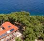 Beautiful waterfront estate on a small island near Split on 8414 m2 - completely isolated peninsula will be yours, with a berth for a boat! - pic 3