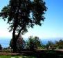 Fascinating villa in Poljane, Icici - breathtaking sea view! - pic 10