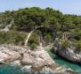 Magnifique domaine en bord de mer sur une petite île près de Split sur 8414 m2 - péninsule complètement isolée sera à vous, avec un emplacement pour un bateau ! - pic 4