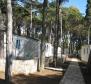 Seafront camping project in for sale, Porec area - pic 2