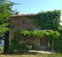 Fantastický pozemek na prodej v oblasti Motovun s nádherným výhledem na Istrii - pic 9