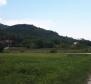 Obrovský pozemek na prodej v oblasti Livade v údolí Motovun určený pro rezidenční výstavbu - pic 3