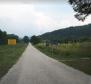 Obrovský pozemek na prodej v oblasti Livade v údolí Motovun určený pro rezidenční výstavbu - pic 4