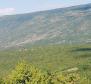 Huge agricultural land plot in Istria, over 1 mln sq.m. - pic 8