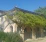 Riesiges Anwesen in Istrien in der Region Porec - foto 5
