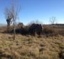 Large plot of land with possibility to construct lux villas, Brtonigla area - pic 4