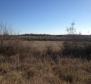 Large plot of land with possibility to construct lux villas, Brtonigla area - pic 6