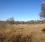 Large plot of land with possibility to construct lux villas, Brtonigla area - pic 9