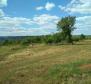 Grand terrain avec possibilité de construire des villas de luxe, région de Brtonigla - pic 3