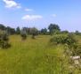 Domaine avec deux ruines en pierre dans la région de Buje - pic 11