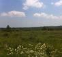 Estate with two stone ruins in Buje area - pic 12