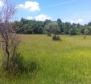 Estate with two stone ruins in Buje area - pic 16