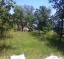 Estate with two stone ruins in Buje area - pic 17