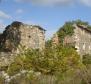 Estate with two stone ruins in Buje area - pic 19