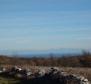 Domaine avec deux ruines en pierre dans la région de Buje - pic 20