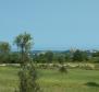 Domaine avec deux ruines en pierre dans la région de Buje - pic 25