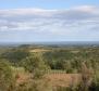 Gorgeous land plot for sale in Buje area with distant sea view - pic 5