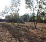 Gorgeous land plot for sale in Buje area with distant sea view - pic 9