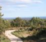 Gorgeous land plot for sale in Buje area with distant sea view - pic 12
