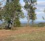 Gorgeous land plot for sale in Buje area with distant sea view - pic 15