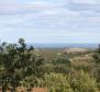 Gorgeous land plot for sale in Buje area with distant sea view - pic 16