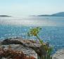 Великолепная вилла на берегу моря на острове Корчула с причалом для лодки - фото 47