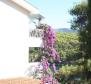 Apart-house on the first line to the sea in Vrbosko, Hvar - pic 8