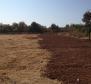 Terrain spacieux à 600 mètres de la mer dans la région de Rovinj (Vestar) - pic 2