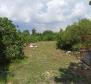 Exceptional offer in Marčana, house of 141m2 on 26 288 sq.m. of land - pic 36