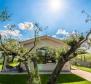 Beeindruckende ländliche Villa der Kategorie 5 ***** Sterne in der Gegend von Motovun und Groznjan - foto 6
